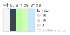 what a nice shoe