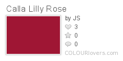 Calla_Lilly_Rose