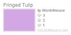 Fringed_Tulip