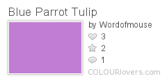 Blue_Parrot_Tulip