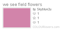 we_see_field_flowers