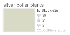 silver_dollar_plants