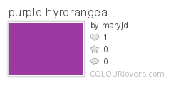 purple_hyrdrangea