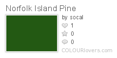 Norfolk_Island_Pine