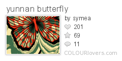 yunnan_butterfly