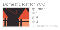 Domestic_Rat_for_YCC