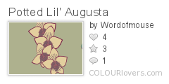 Potted_Lil_Augusta