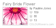 Fairy_Bride_Flower