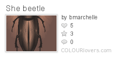She_beetle