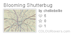 Blooming_Shutterbug