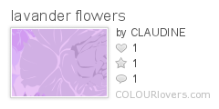 lavander_flowers