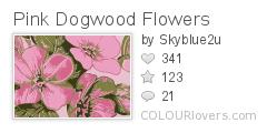 Pink_Dogwood_Flowers