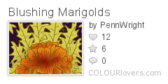 Blushing_Marigolds