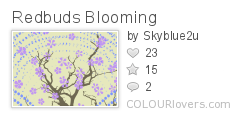 Redbuds_Blooming