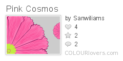Pink_Cosmos