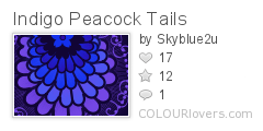 Indigo_Peacock_Tails