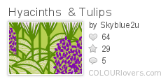 Hyacinths_Tulips