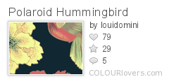 Polaroid_Hummingbird