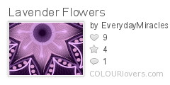 Lavender_Flowers
