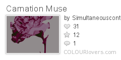 Carnation_Muse