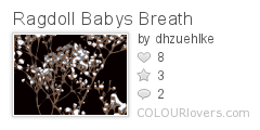 Ragdoll_Babys_Breath