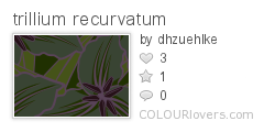 trillium_recurvatum