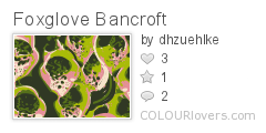 Foxglove_Bancroft