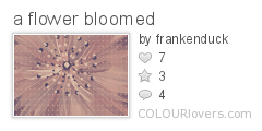 a_flower_bloomed