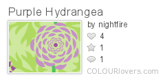 Purple_Hydrangea