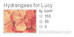 Hydrangeas_for_Lucy