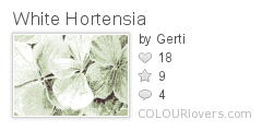 White_Hortensia