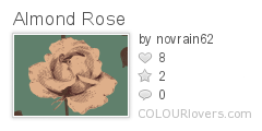 Almond_Rose