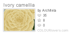 Ivory_camellia