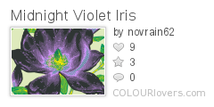 Midnight_Violet_Iris