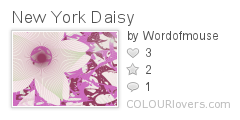 New_York_Daisy