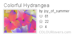 Colorful_Hydrangea