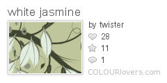 white_jasmine