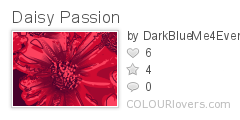 Daisy_Passion