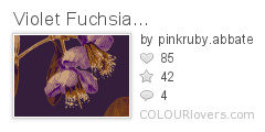 Violet_Fuchsia...
