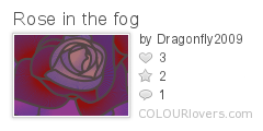 Rose_in_the_fog