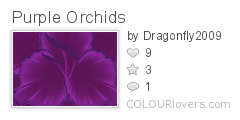 Purple_Orchids
