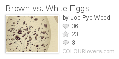 Brown_vs._White_Eggs