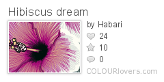 Hibiscus_dream