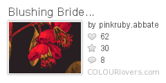 Blushing_Bride...