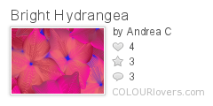 Bright_Hydrangea