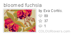 bloomed_fuchsia