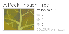 A_Peek_Though_Tree