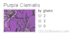 Purple_Clematis