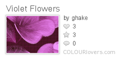 Violet_Flowers