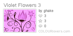 Violet_Flowers_2